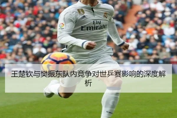 王楚钦与樊振东队内竞争对世乒赛影响的深度解析
